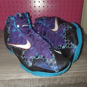 Lebron 11 Hornets
